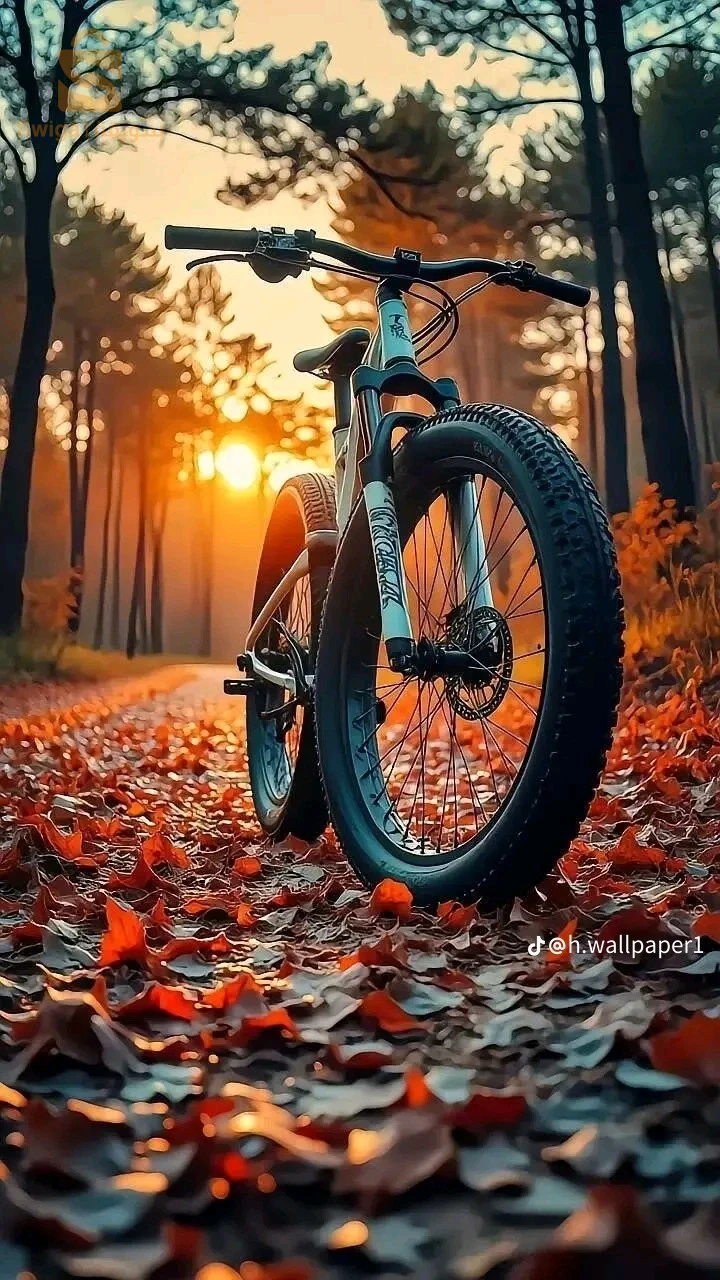 دراجات هوائية 