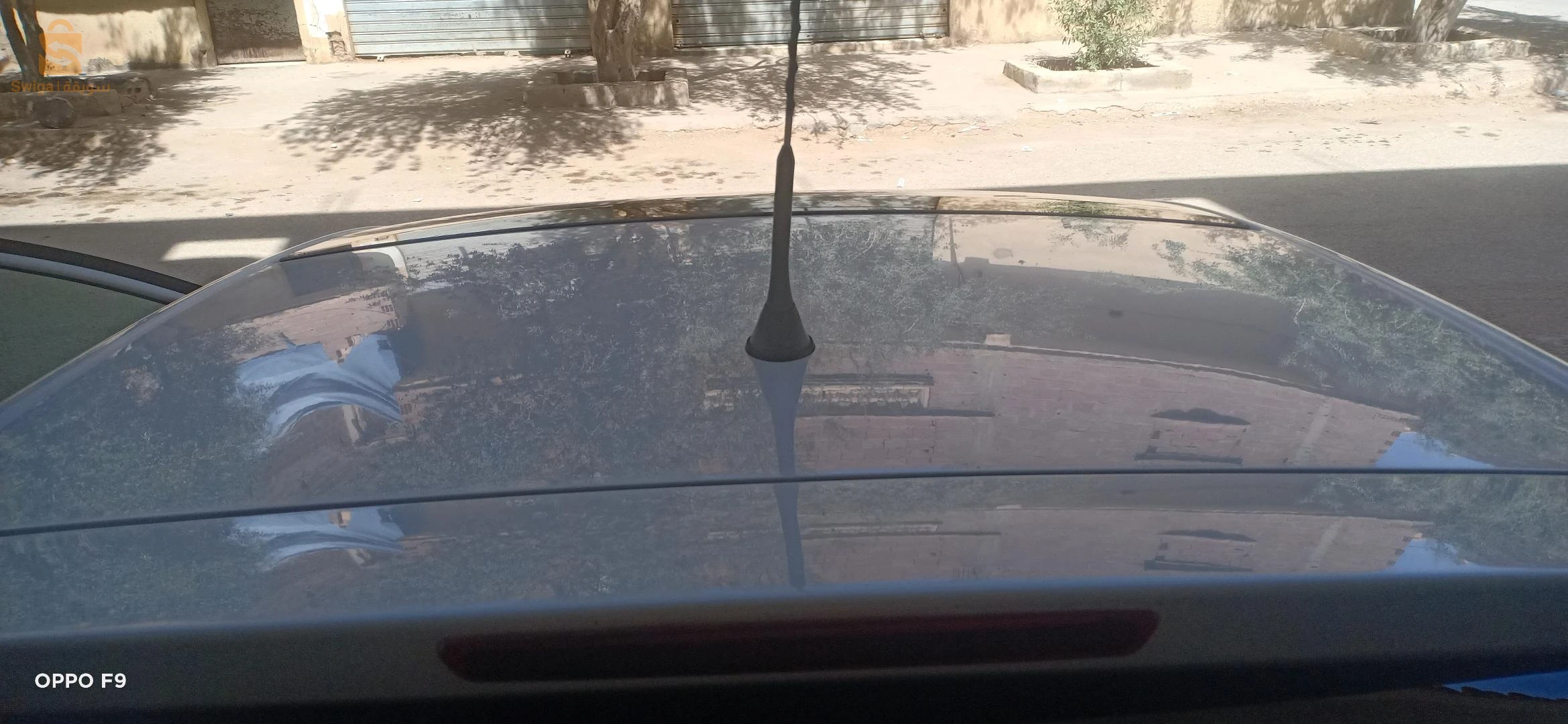 سيات Ibiza 2012 7 بسكرة