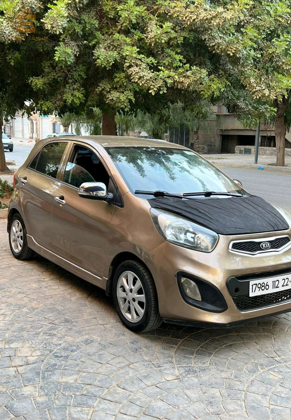 كيا Picanto 2012 22 سيدي بلعباس