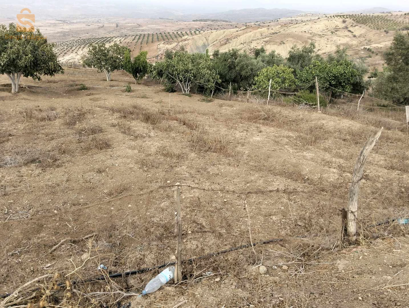 For sale Other real estate Room Number 13 TLEMCEN