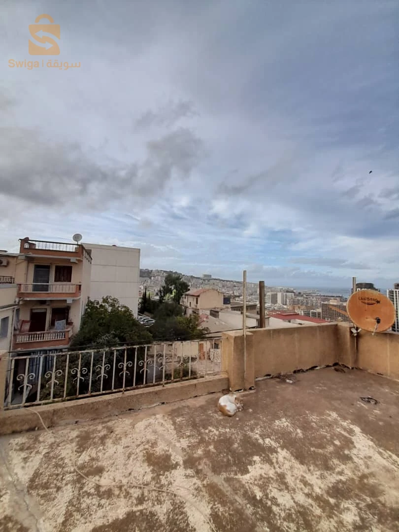 للبيع فلل سكنية عدد الغرف7 16 الجزائر