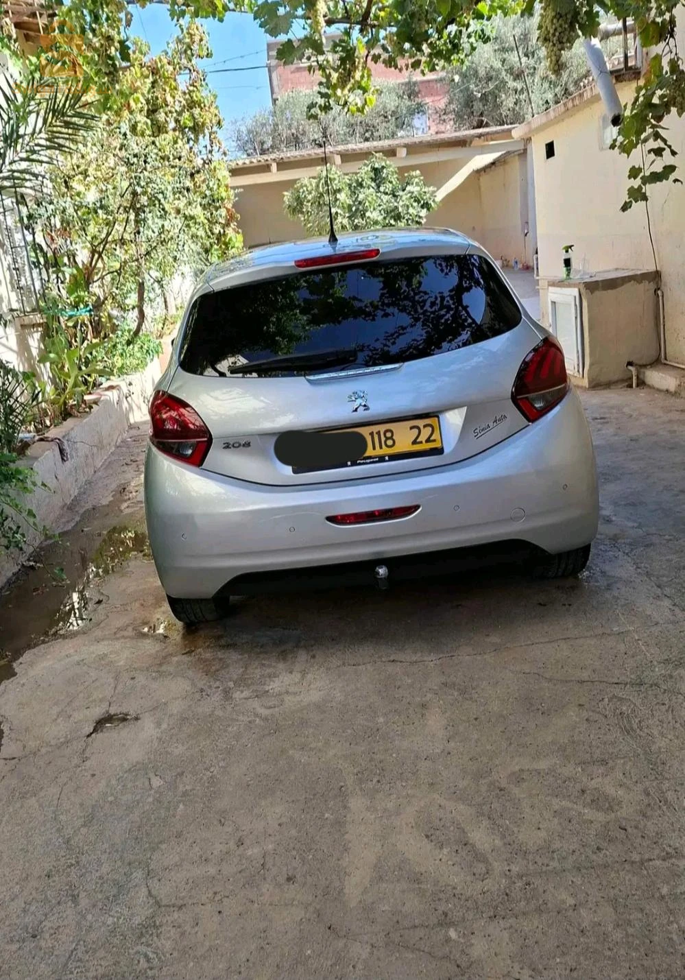 بيجو 208 2018 22 سيدي بلعباس