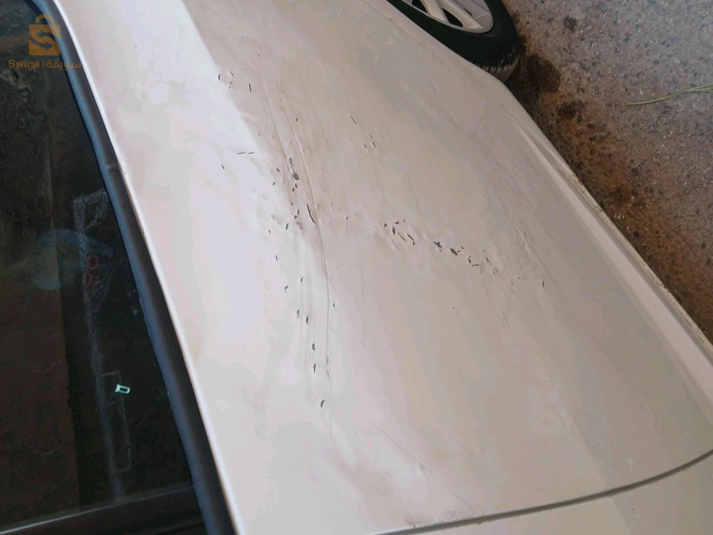 سيات Ibiza 2018 31 وهران
