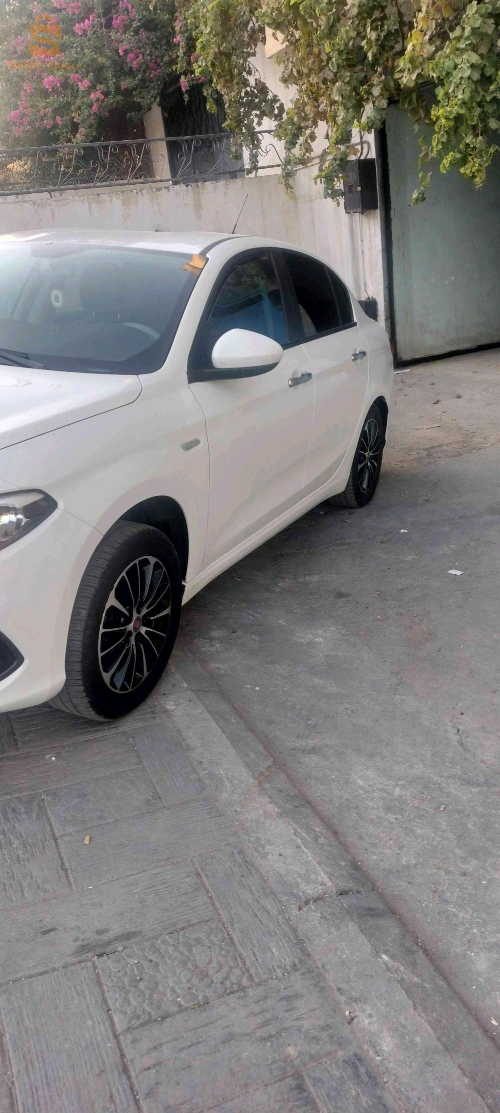 فيات Tipo Sedan 2023 24 قالمة