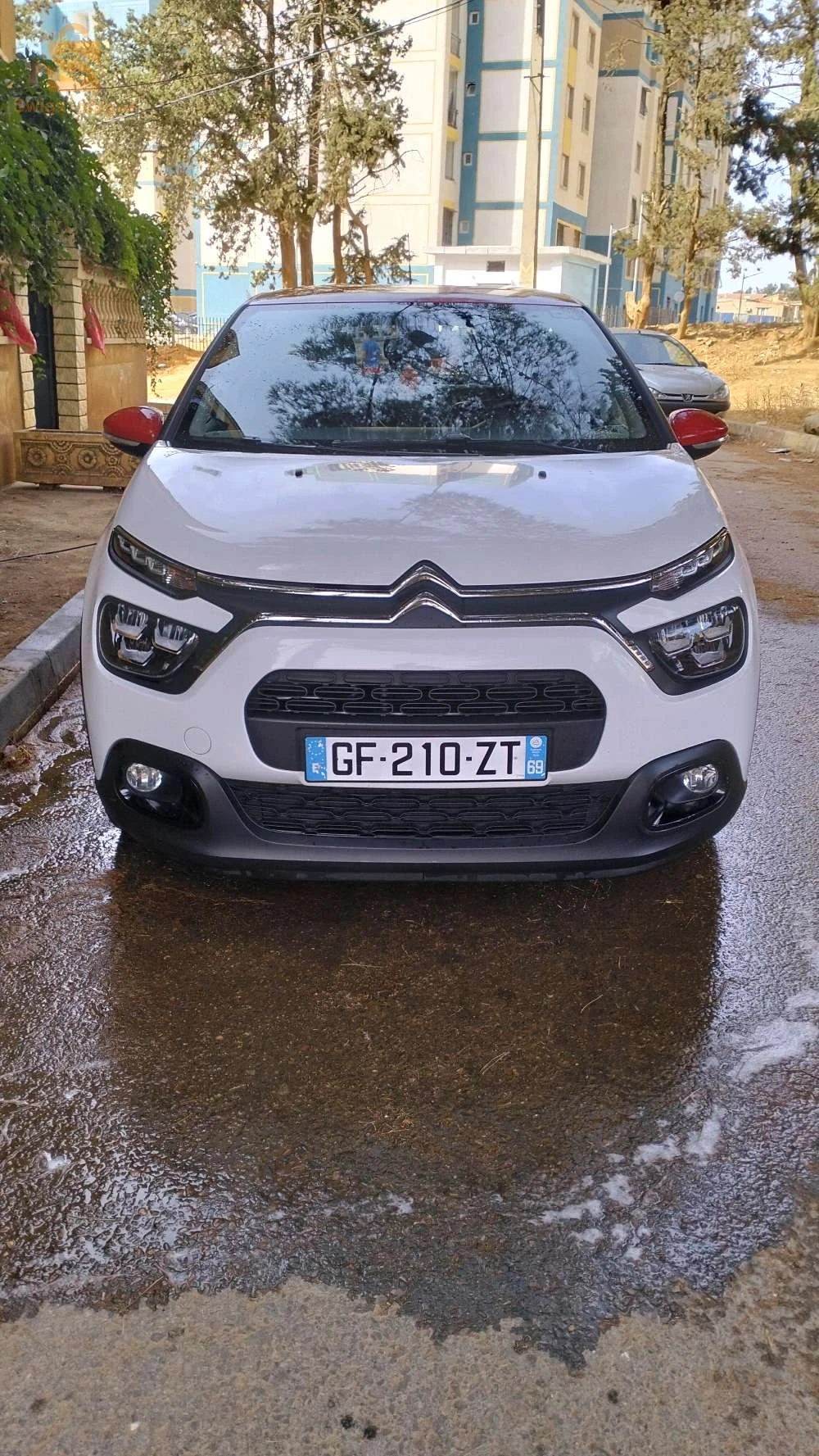 ستروين C3 2022 16 الجزائر