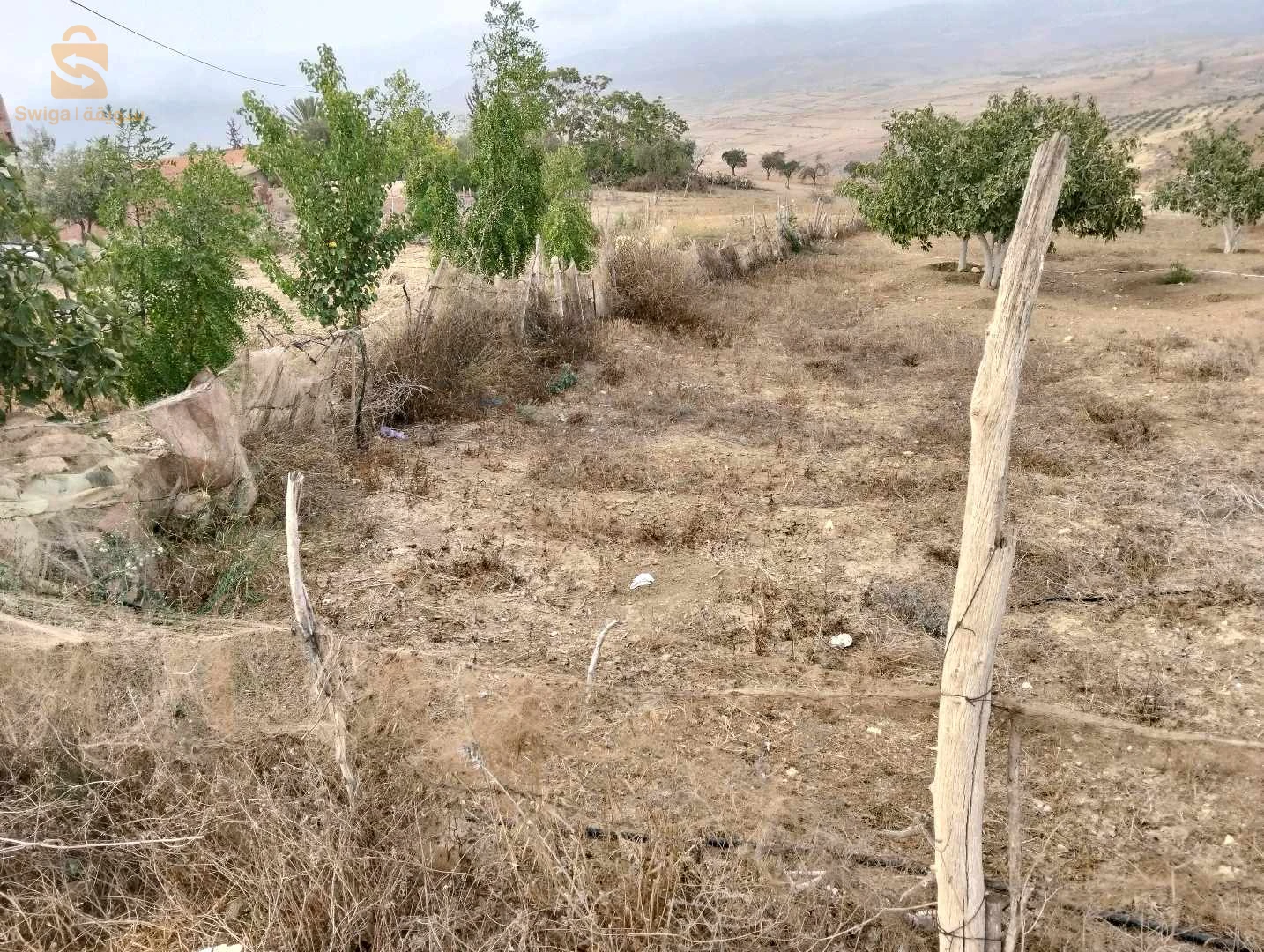 À vendre Autres biens immobiliers les chambres  13 TLEMCEN