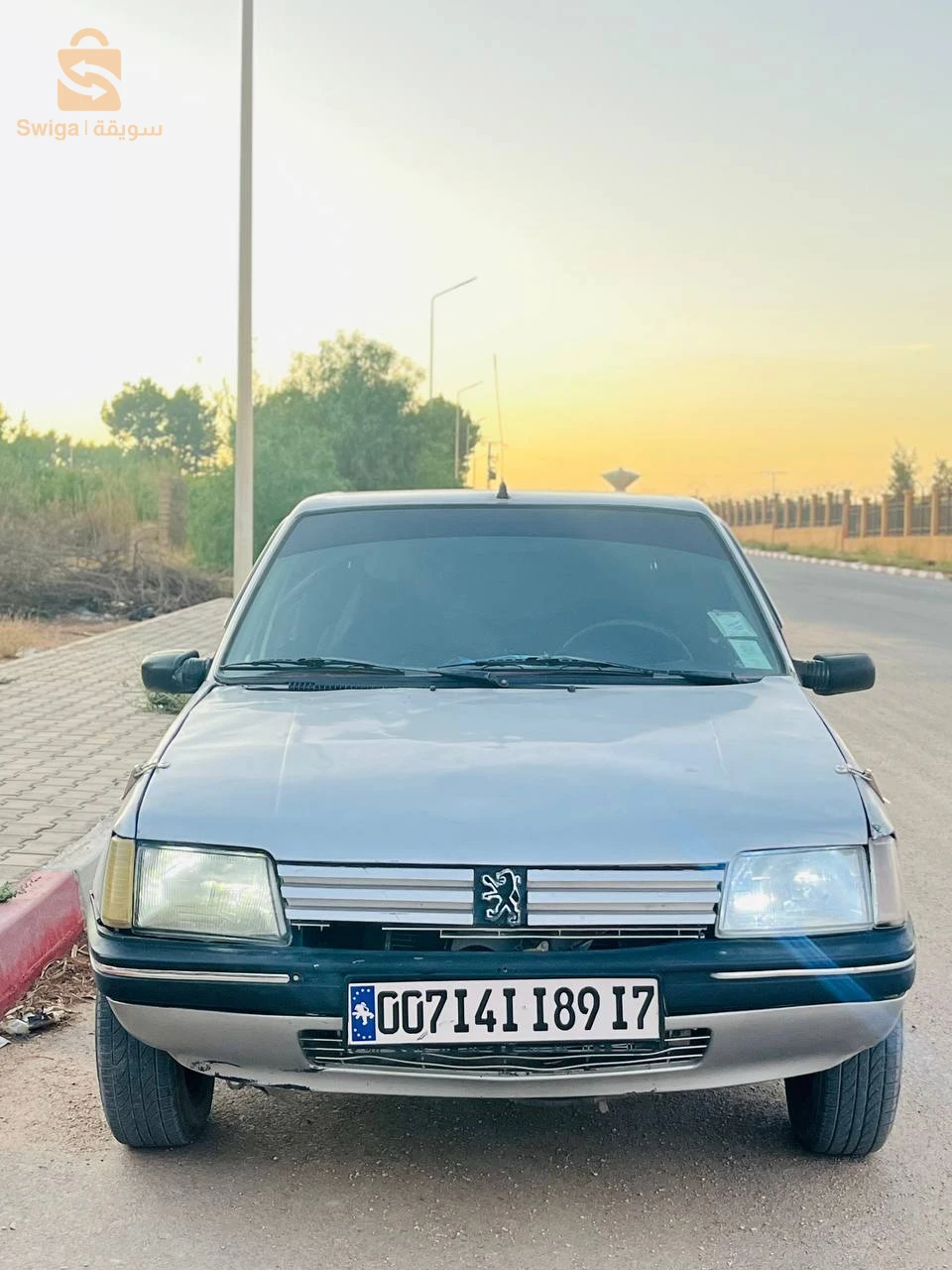 بيجو 205 1989 17 الجلفة