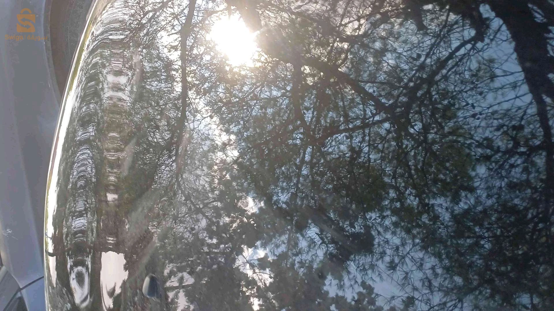 ستروين C3 2023 19 سطيف