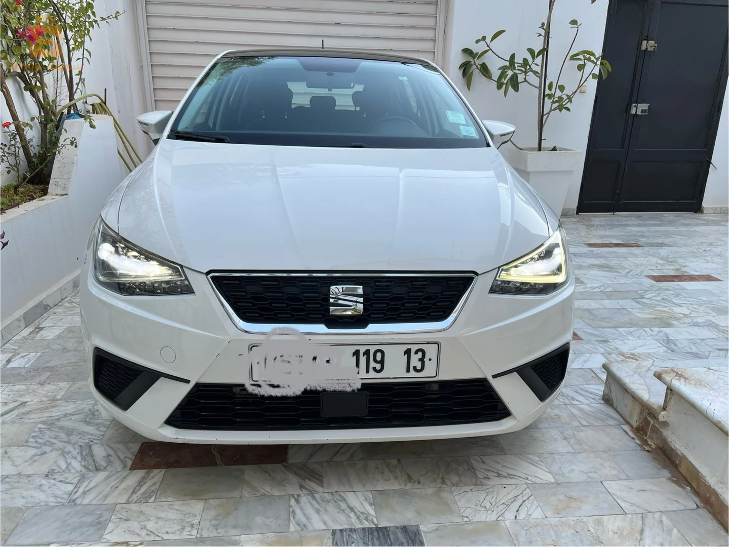 سيات Ibiza 2019 13 تلمسان