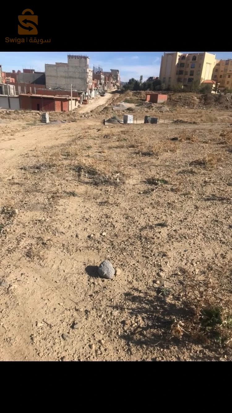 للبيع اراضي سكنية عدد الغرف 34 برج بوعريريج