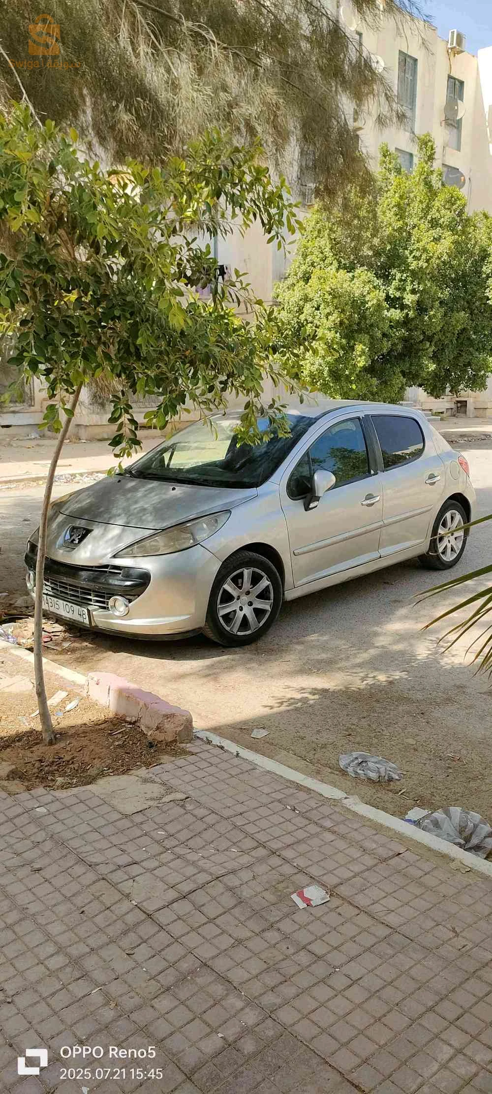 Peugeot 207 2009 48 RELIZANE