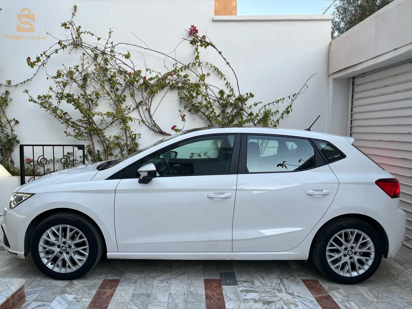 سيات Ibiza 2019 13 تلمسان