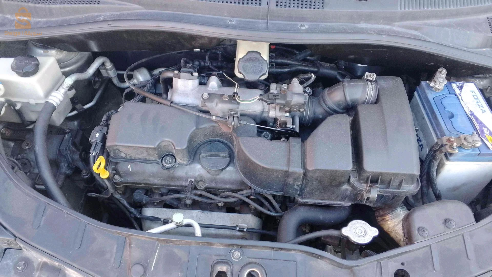 كيا Picanto 2008 19 سطيف