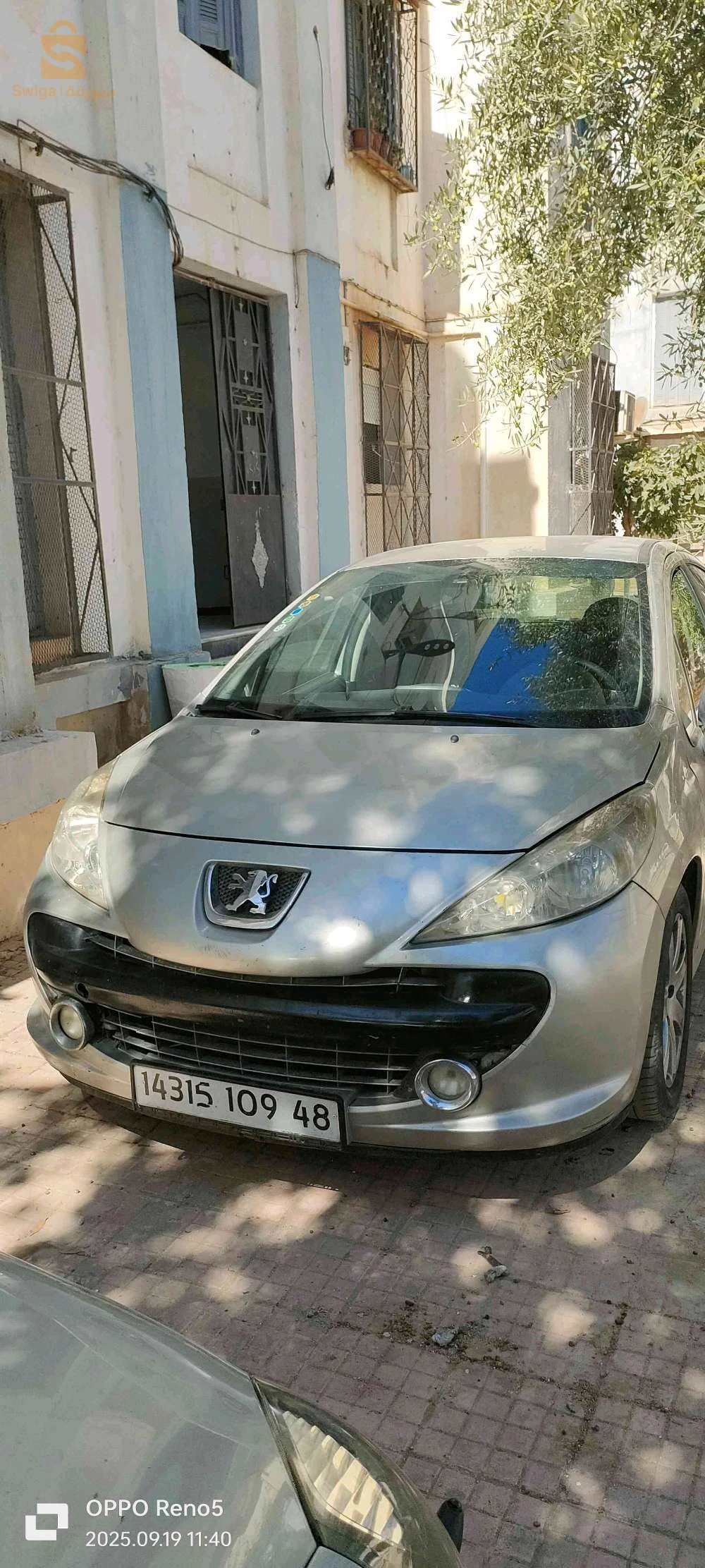 Peugeot 207 2009 48 RELIZANE