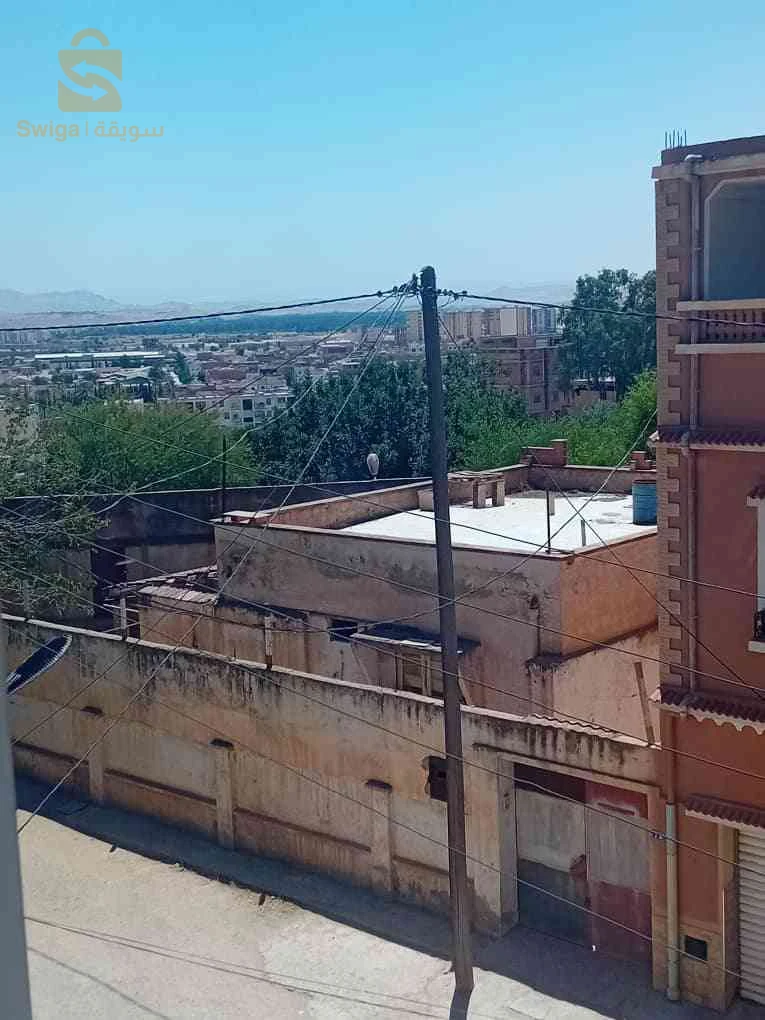 للبيع فلل سكنية عدد الغرف4 48 غليزان