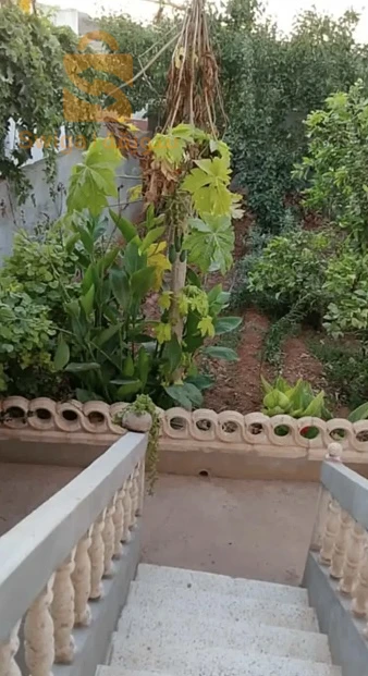 للبيع شقق سكنية عدد الغرفالمنزل يحتوي علي غرفتين و هول و مطبخ و صالون و حمام وكاف طيراس وفيروندة وحديقه 13 تلمسان