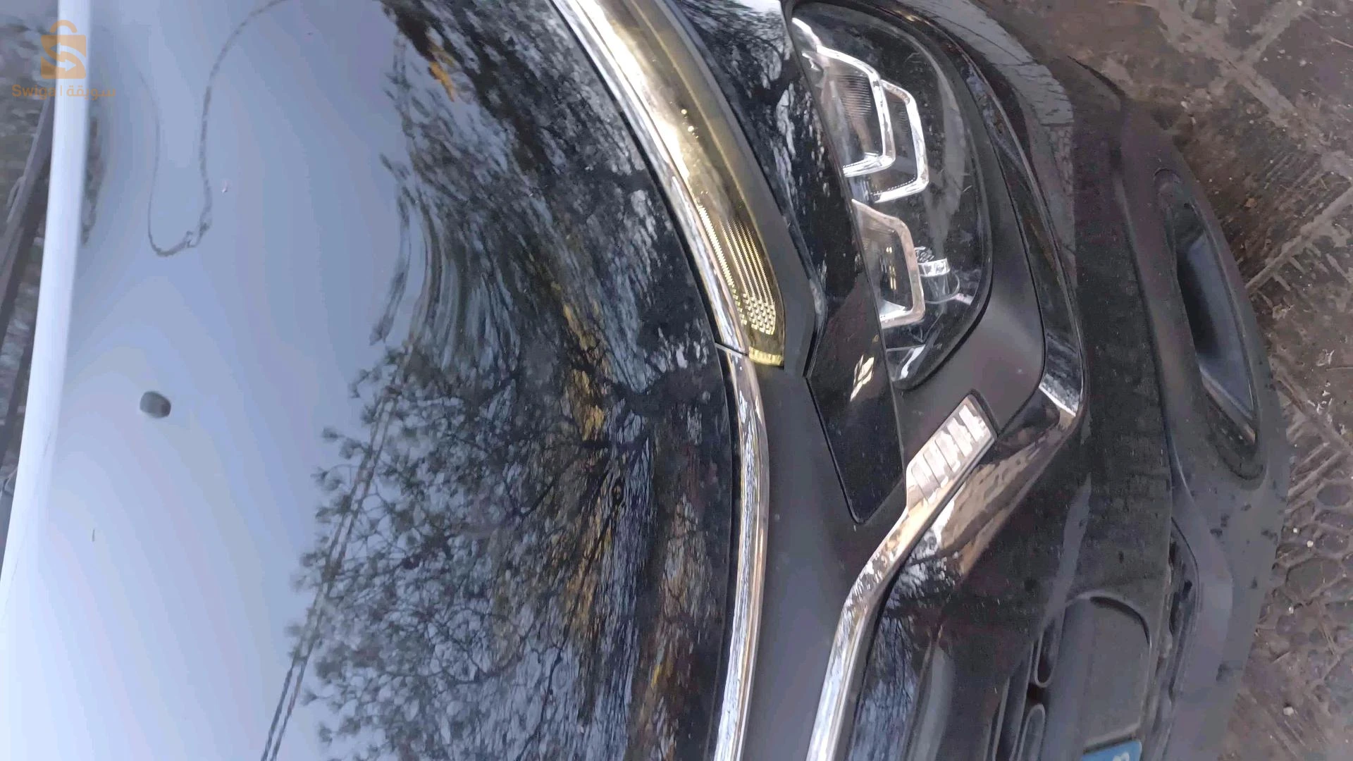 Citroen C3 2023 19 SETIF