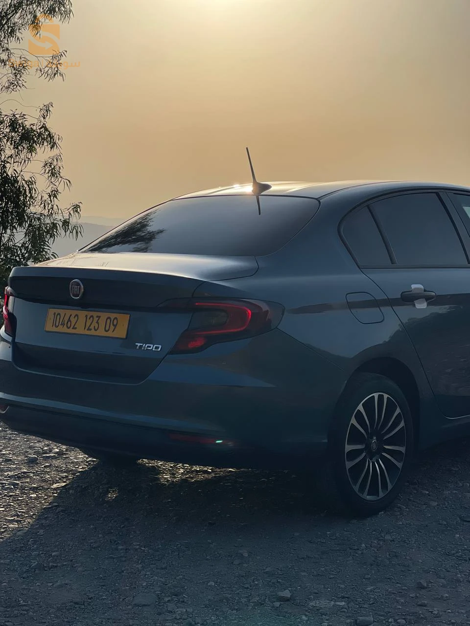Fiat Tipo Sedan 2023 9 BLIDA