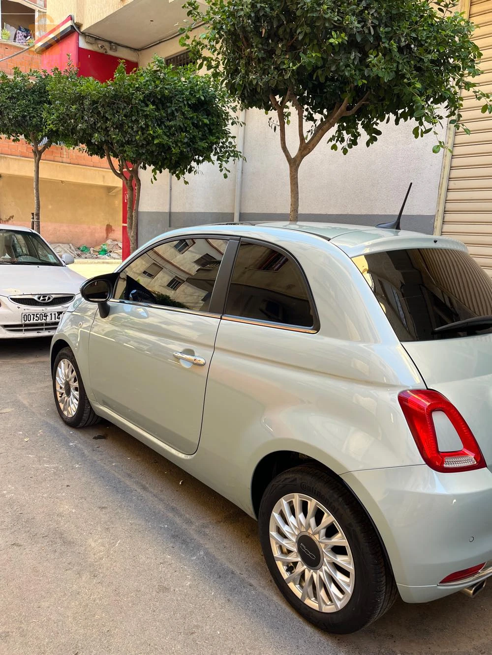 فيات 500 2023 16 الجزائر