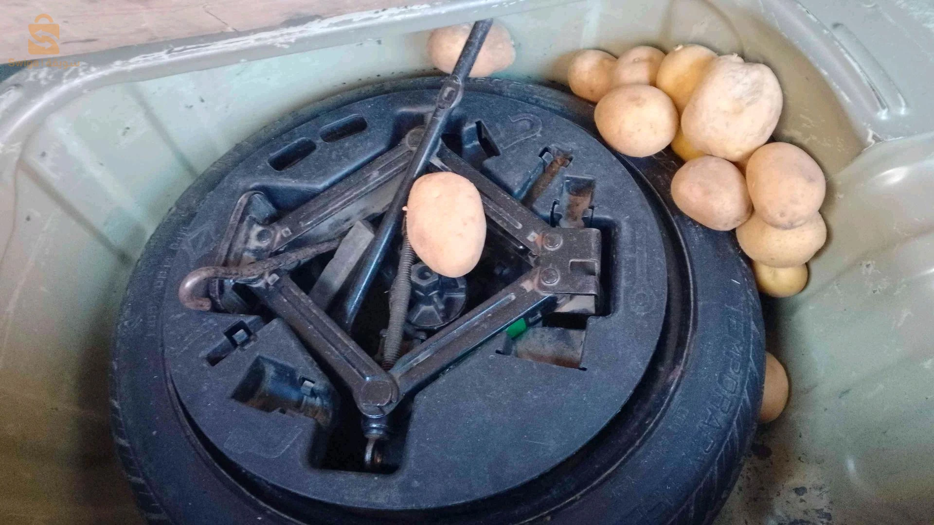 Kia Picanto 2008 19 SETIF