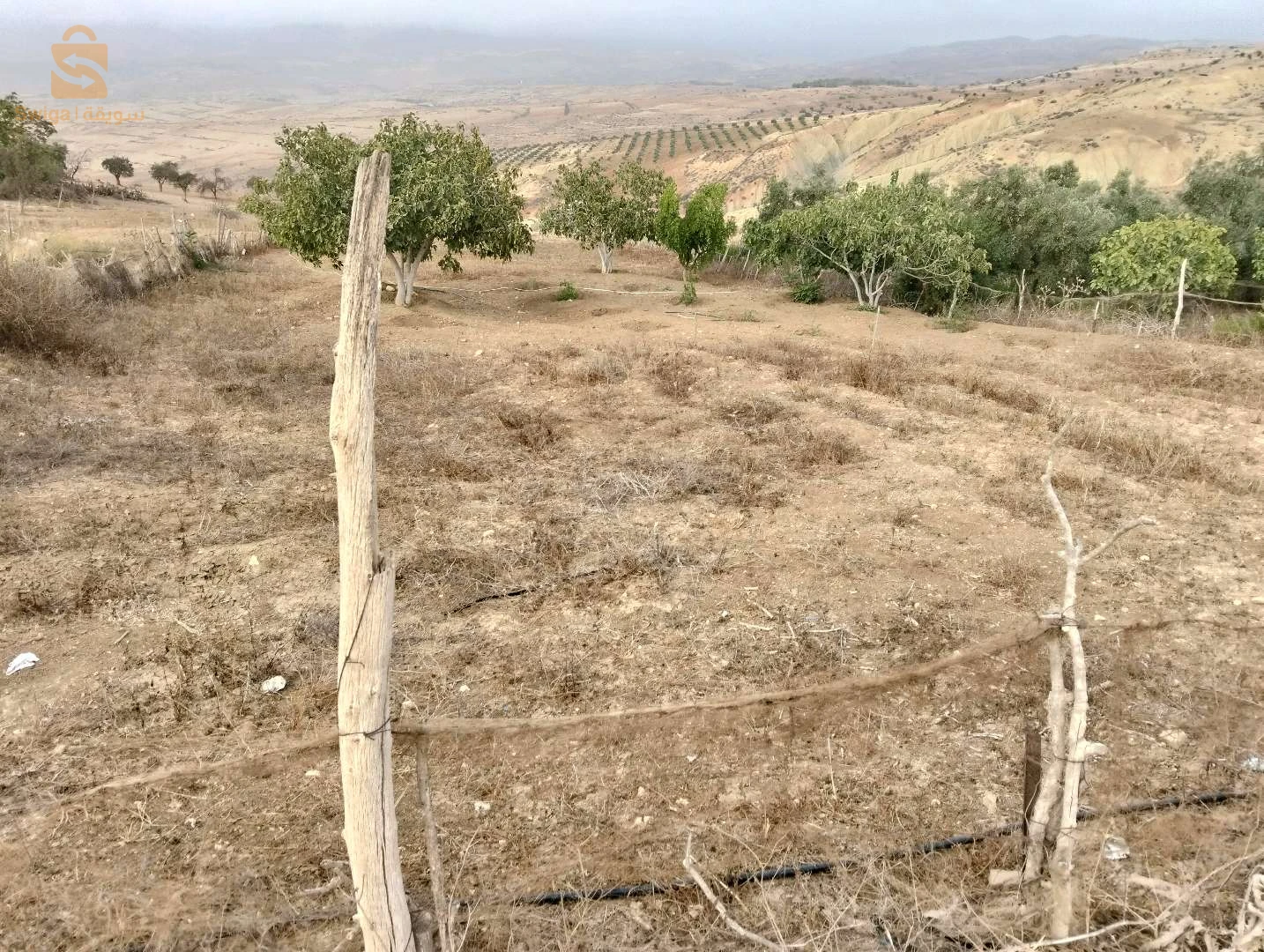 À vendre Autres biens immobiliers les chambres  13 TLEMCEN