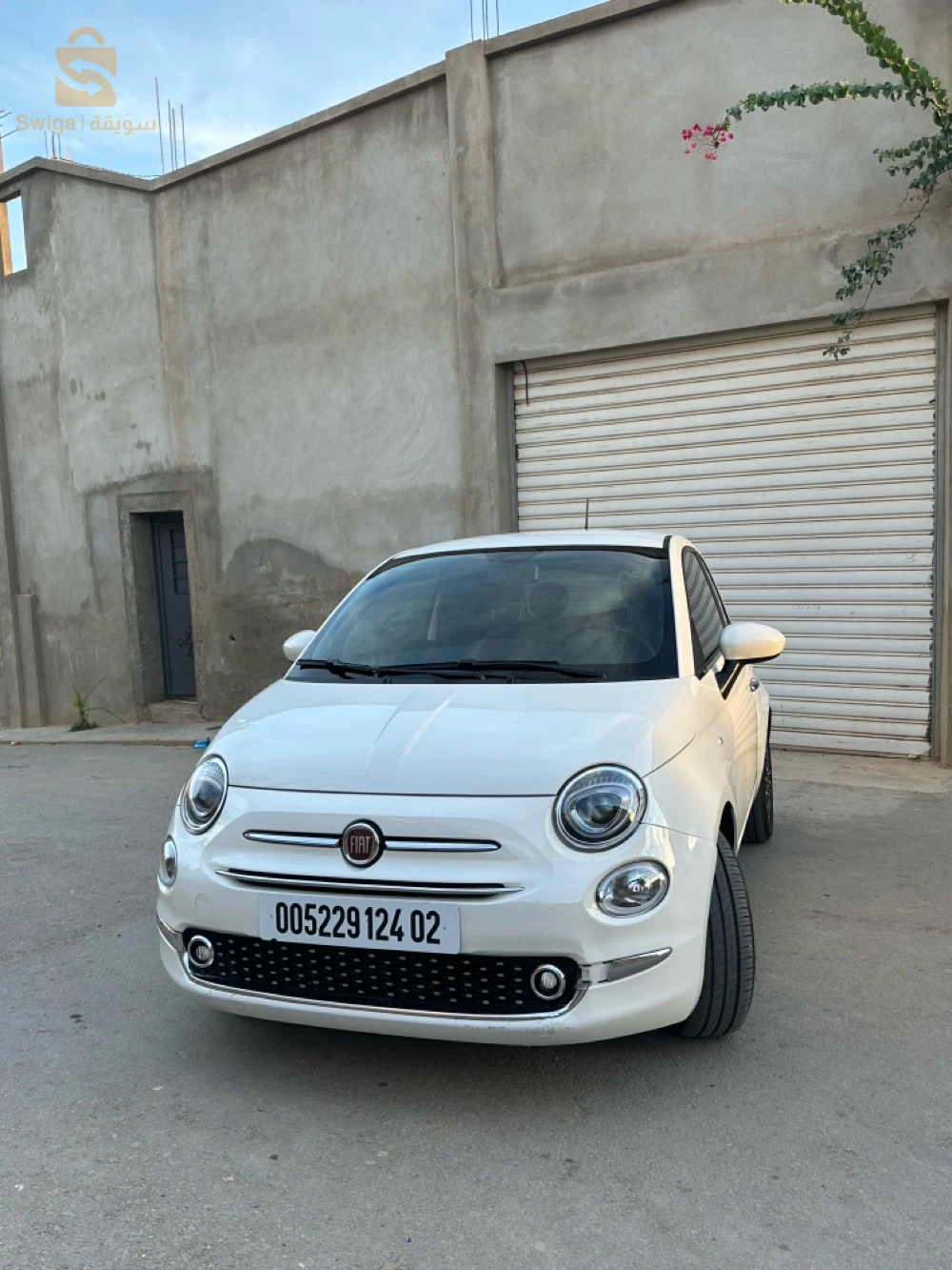 فيات 500 2024 2 شلف