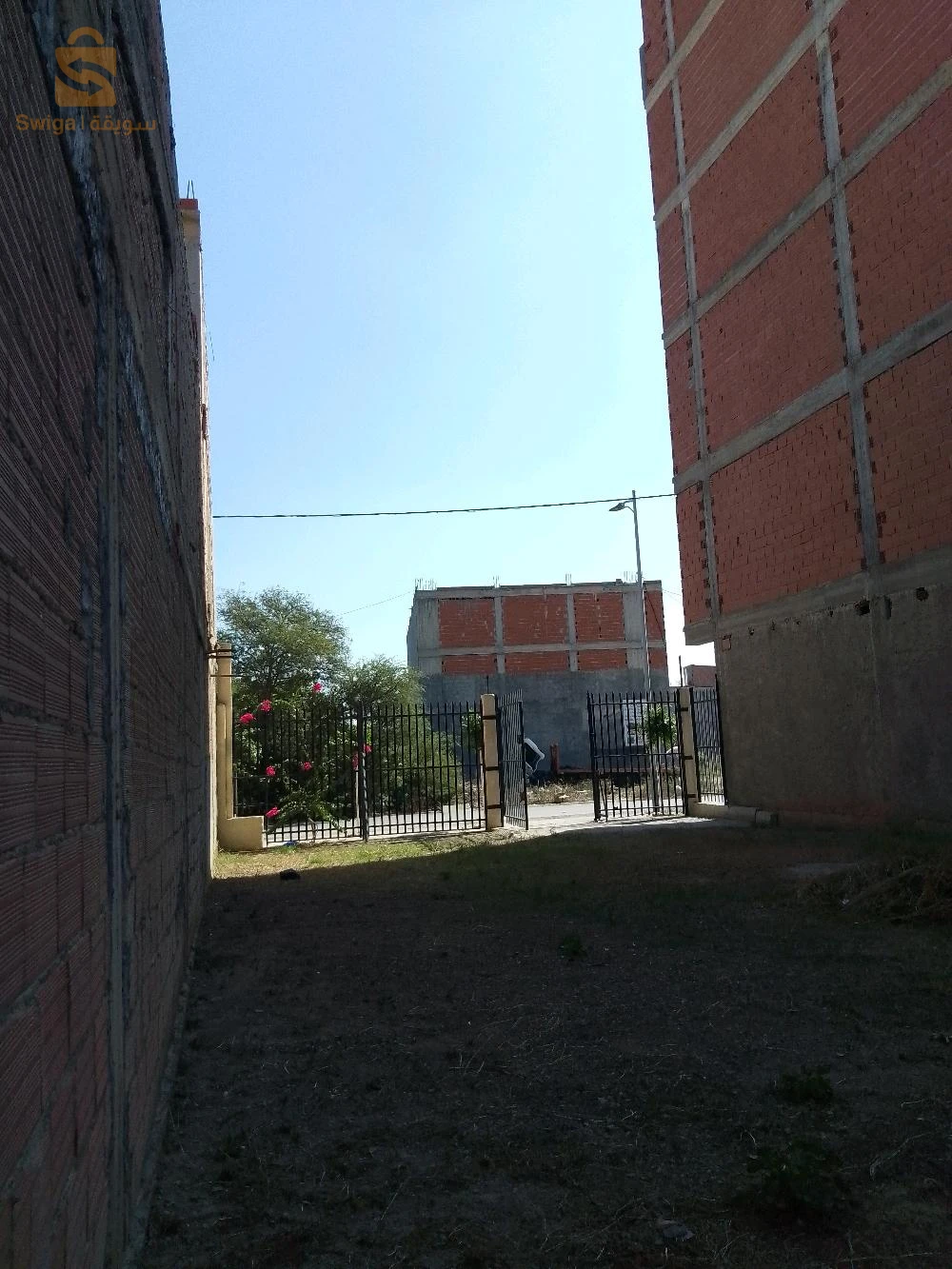 للبيع عقارات اخرى عدد الغرف 9 البليدة