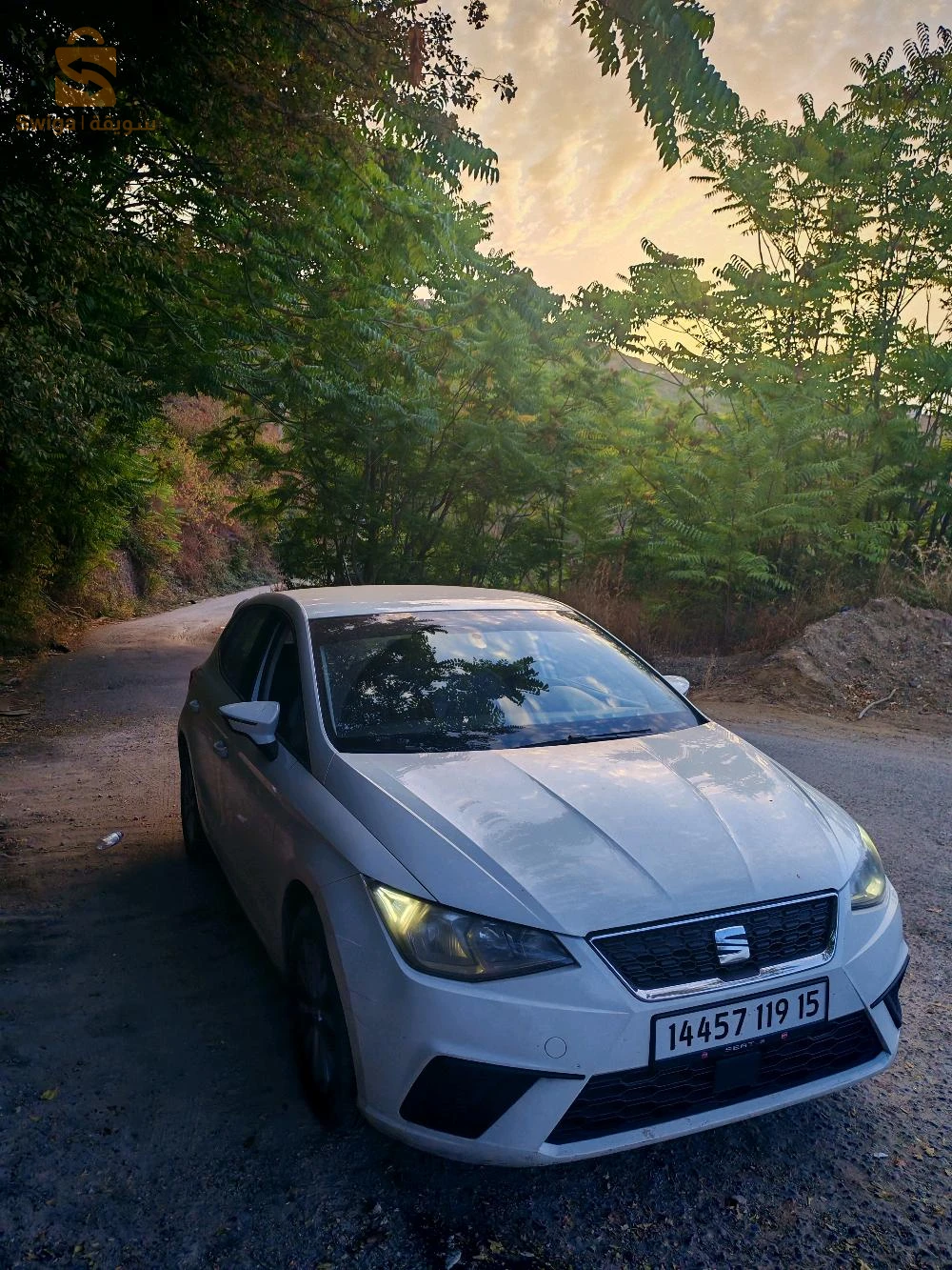 سيات Ibiza 2019 15 تيزيوزو