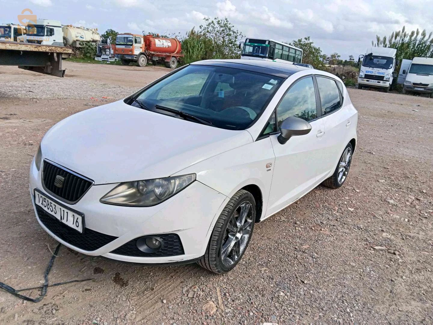 Seat Ibiza 2011 16 ALGER