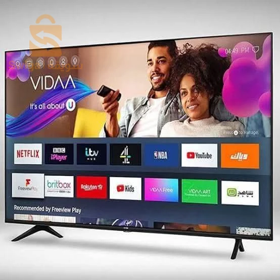 Téléviseurs, satellites et leurs accessoires 