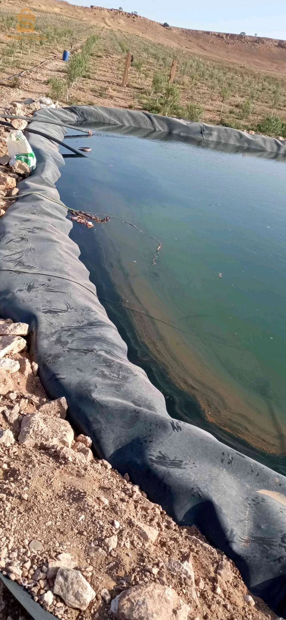 للبيع عقارات اخرى عدد الغرف 17 الجلفة