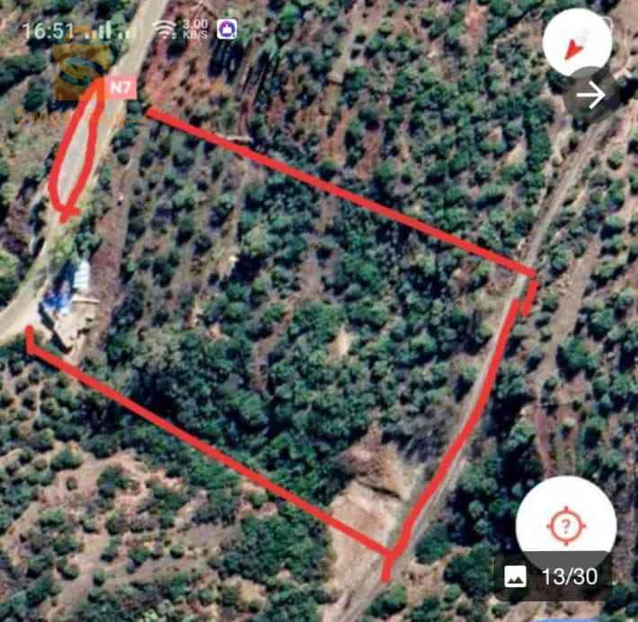 للبيع اراضي زراعية عدد الغرف 13 تلمسان