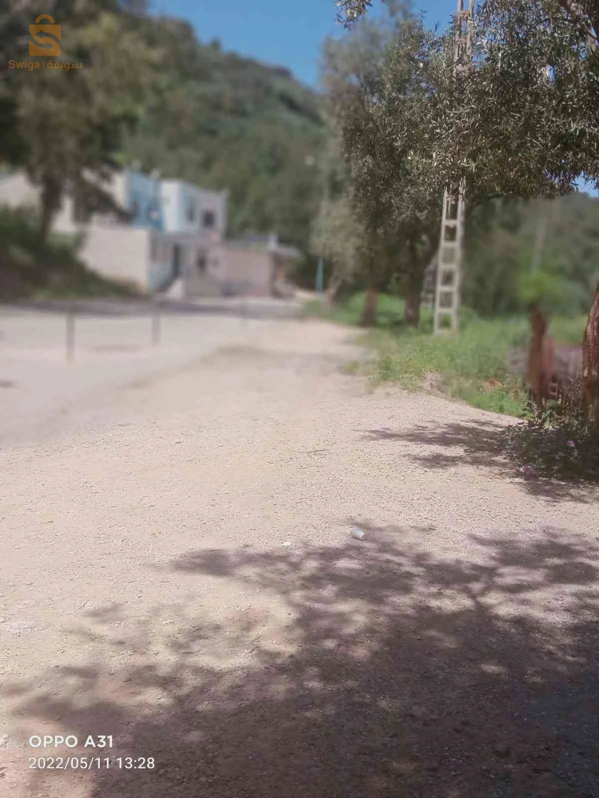 للبيع اراضي زراعية عدد الغرف 13 تلمسان