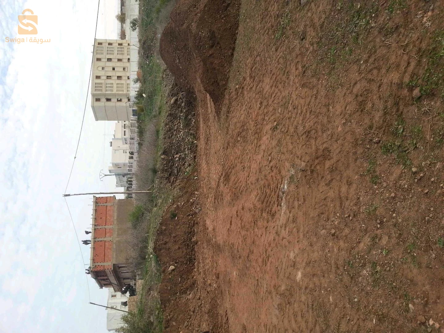 للبيع عقارات اخرى عدد الغرف 46 عين تموشنت