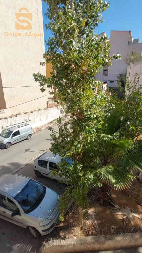 كراء شقق سكنية عدد الغرف3 16 الجزائر