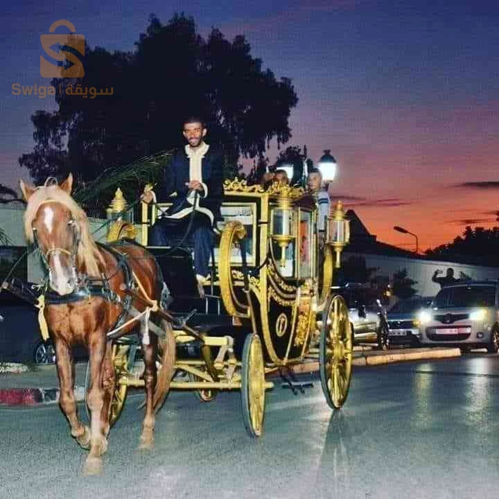 أخرى 