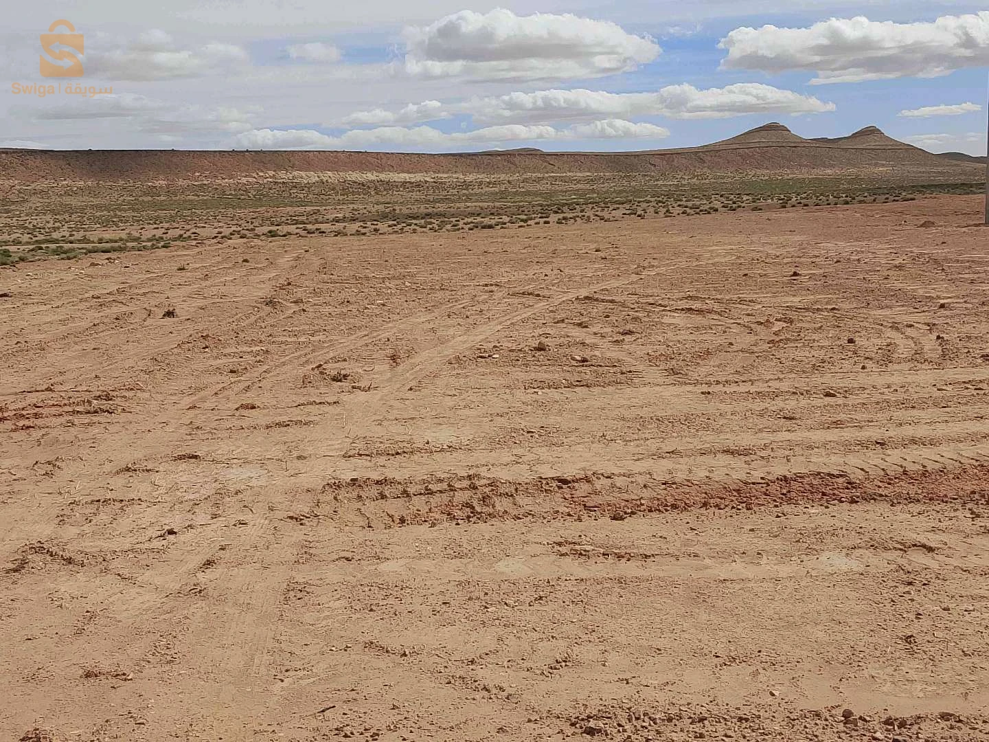 For sale agricultural lands Room Number 17 DJELFA