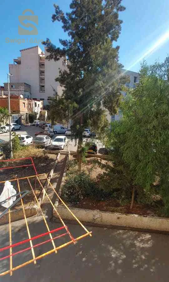 كراء شقق سكنية عدد الغرف3 16 الجزائر