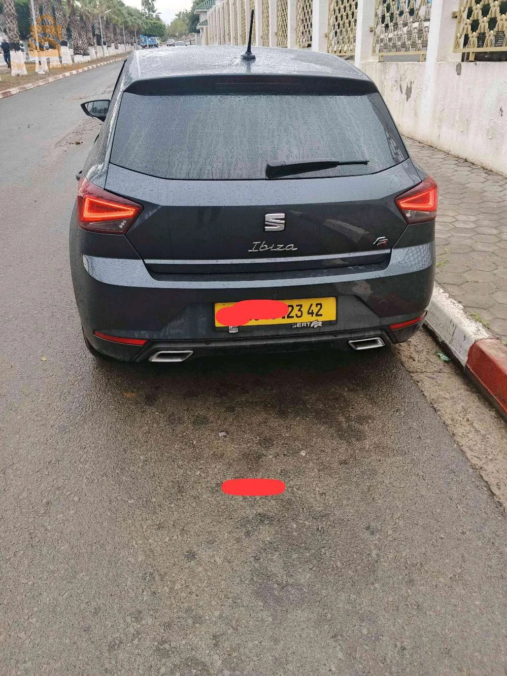 سيات Ibiza 2023 42 تيبازة