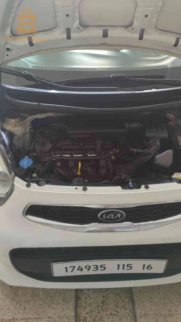 كيا Picanto 2015 48 غليزان