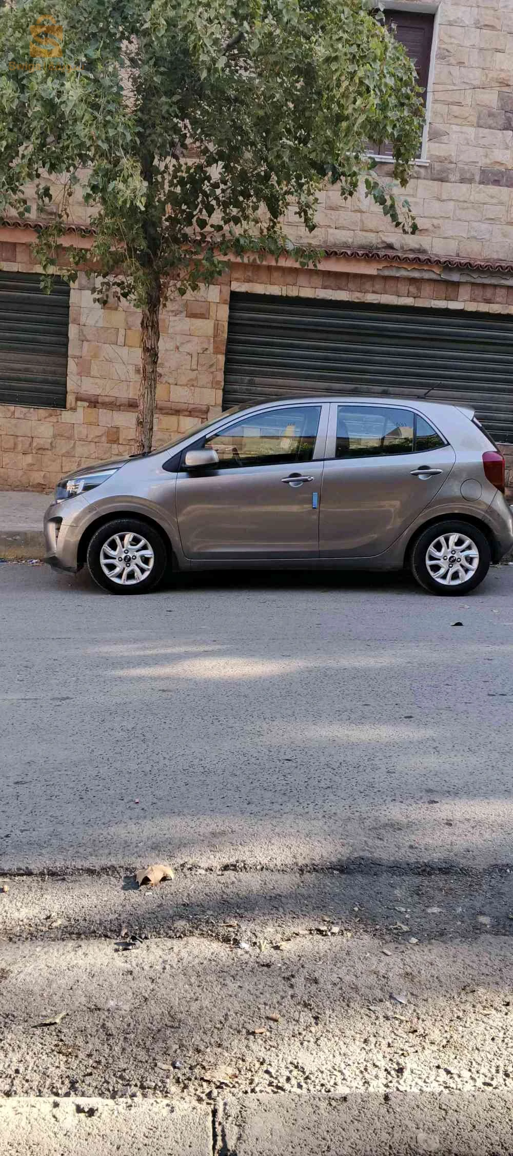 كيا Picanto 6 بجاية