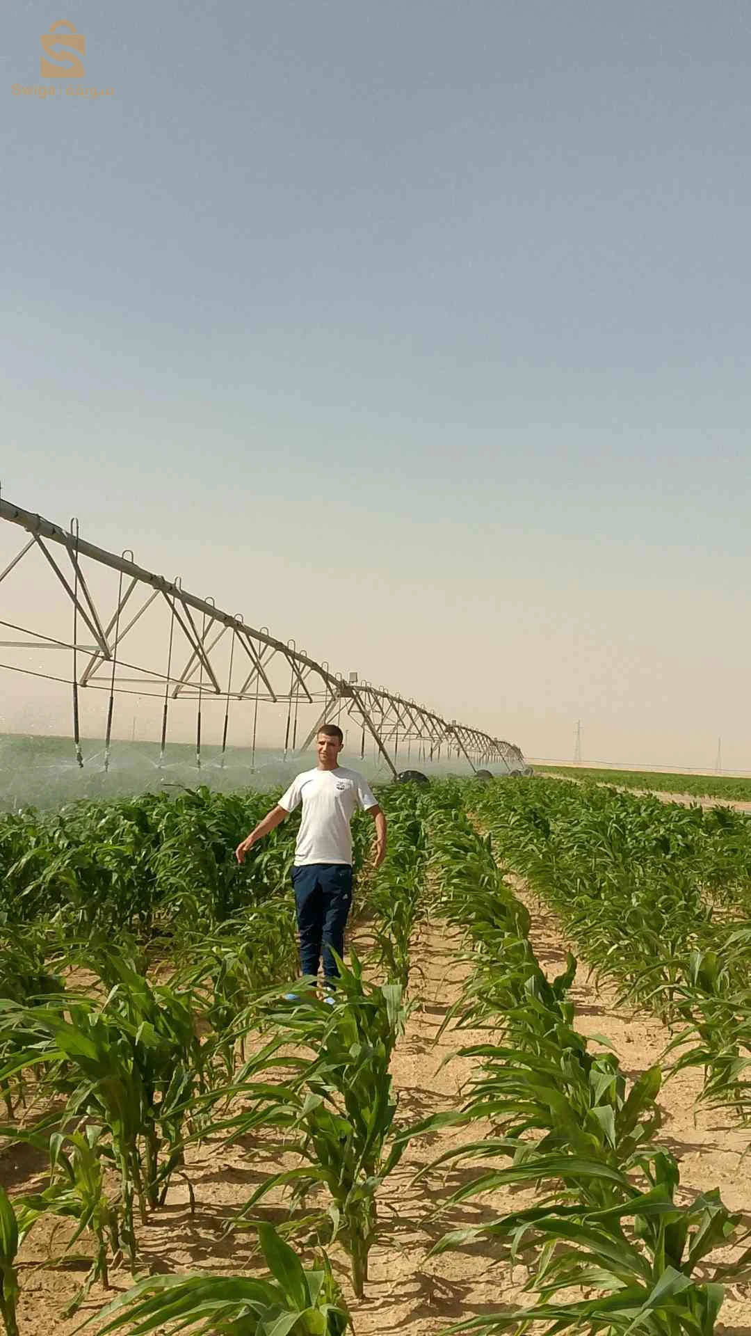 شبكات الري 
