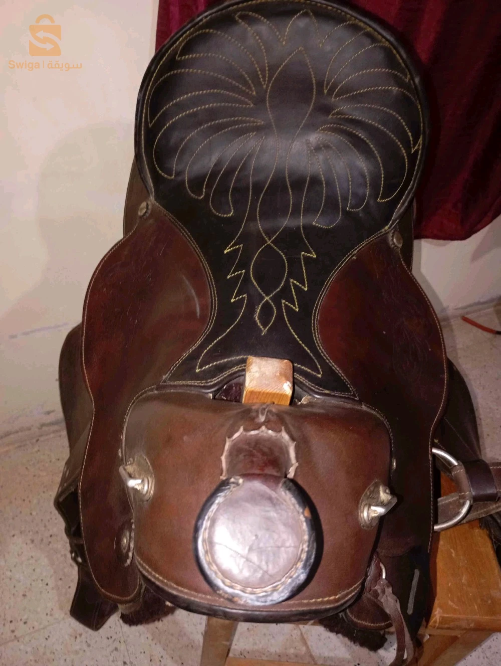خيول 