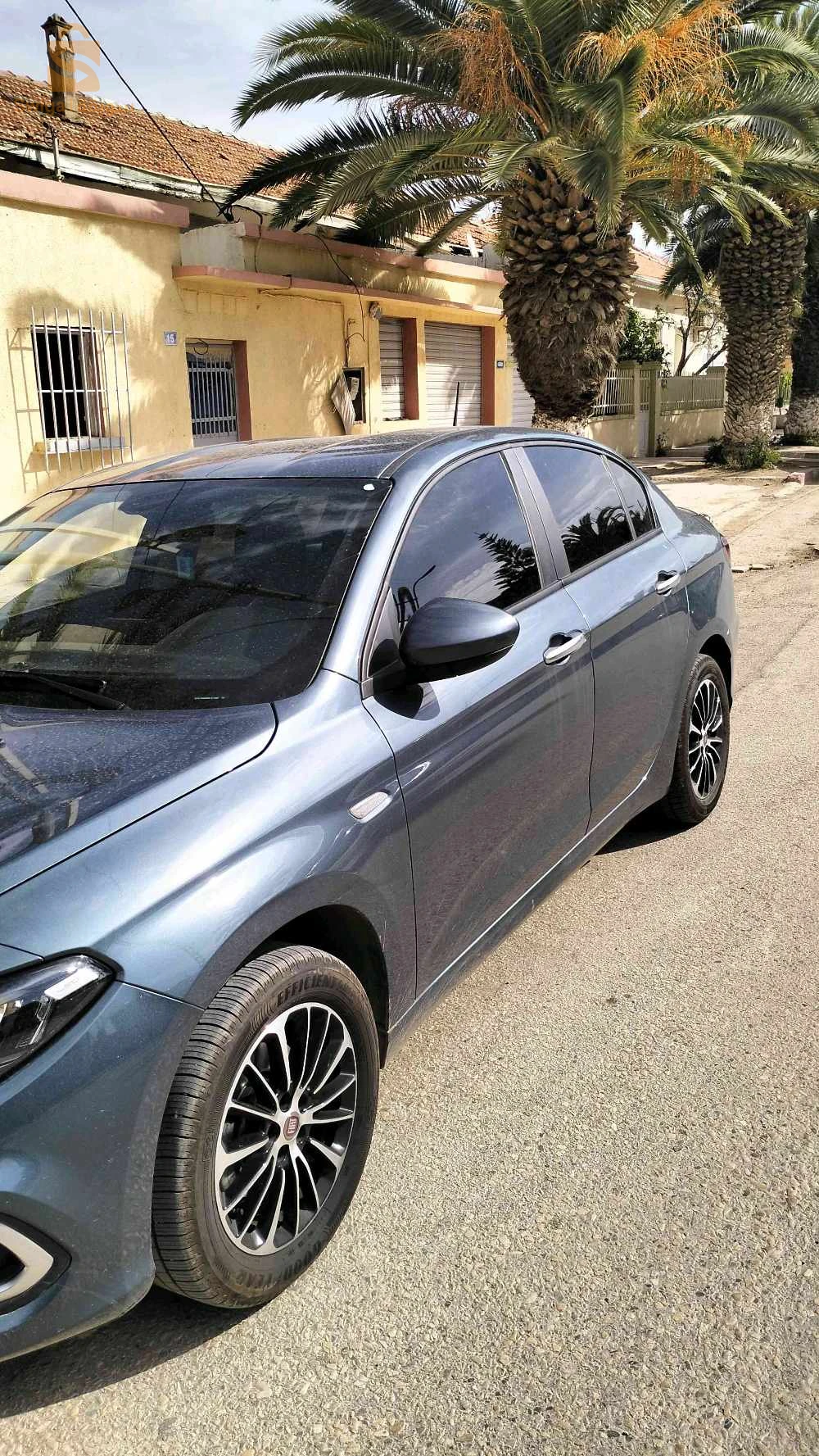 فيات Tipo Sedan 2025 2 شلف