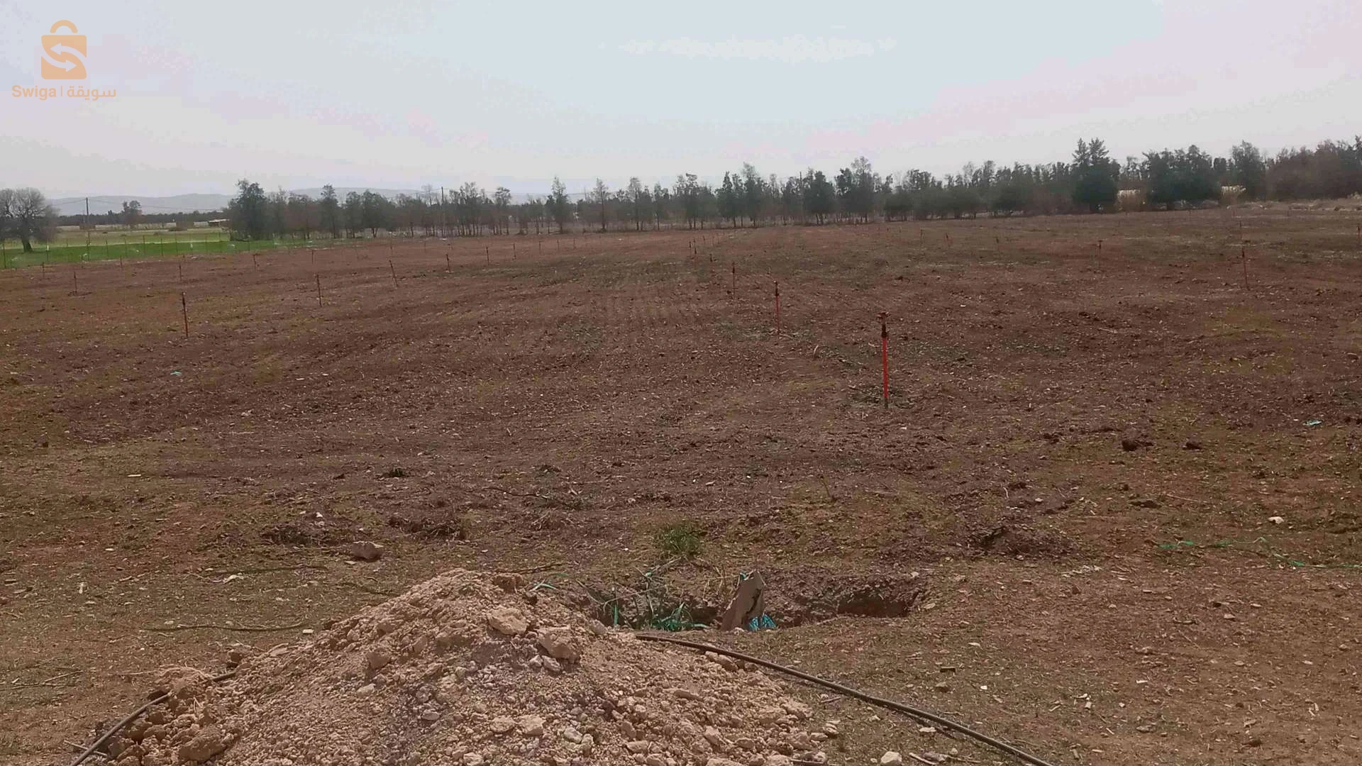 For sale Other real estate Room Number 17 DJELFA