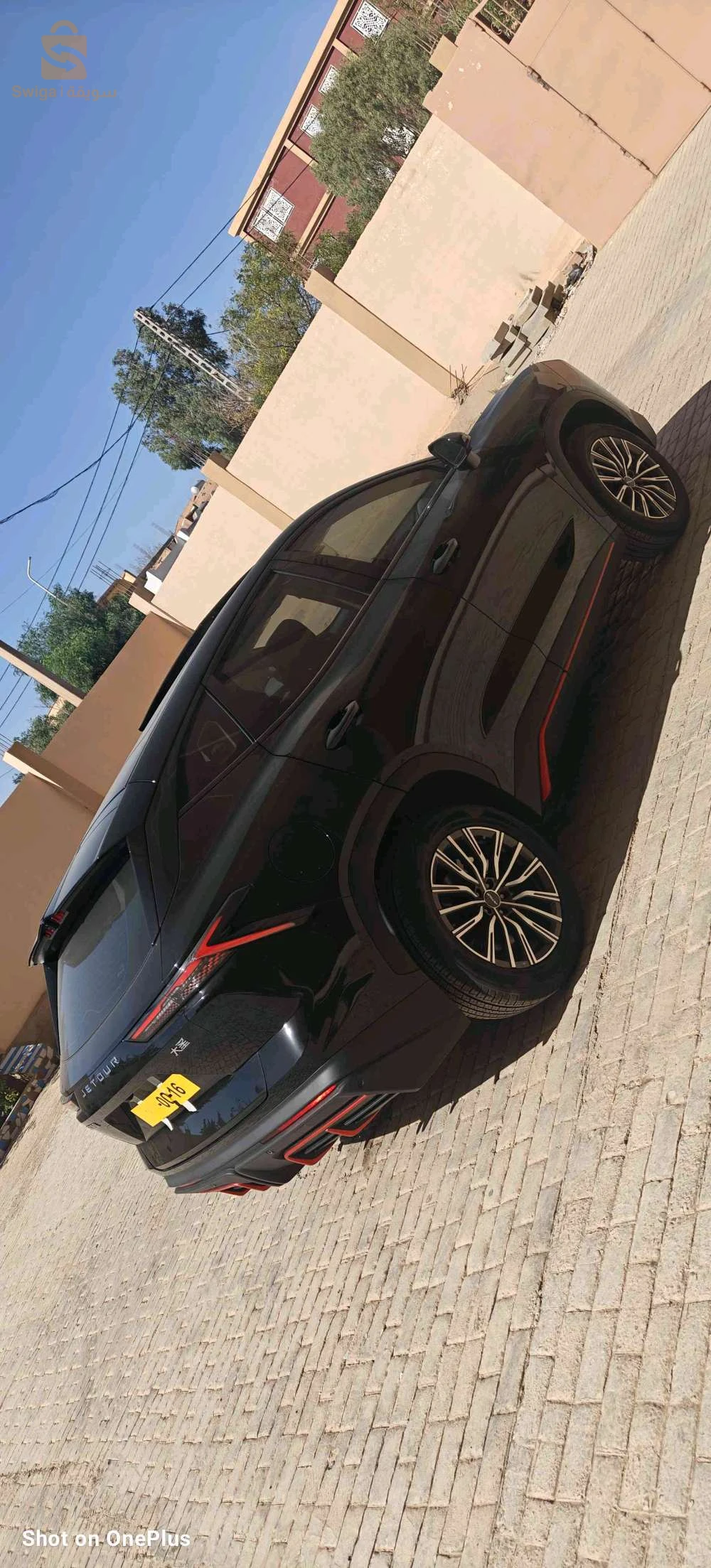 جيتور 2025 13 تلمسان