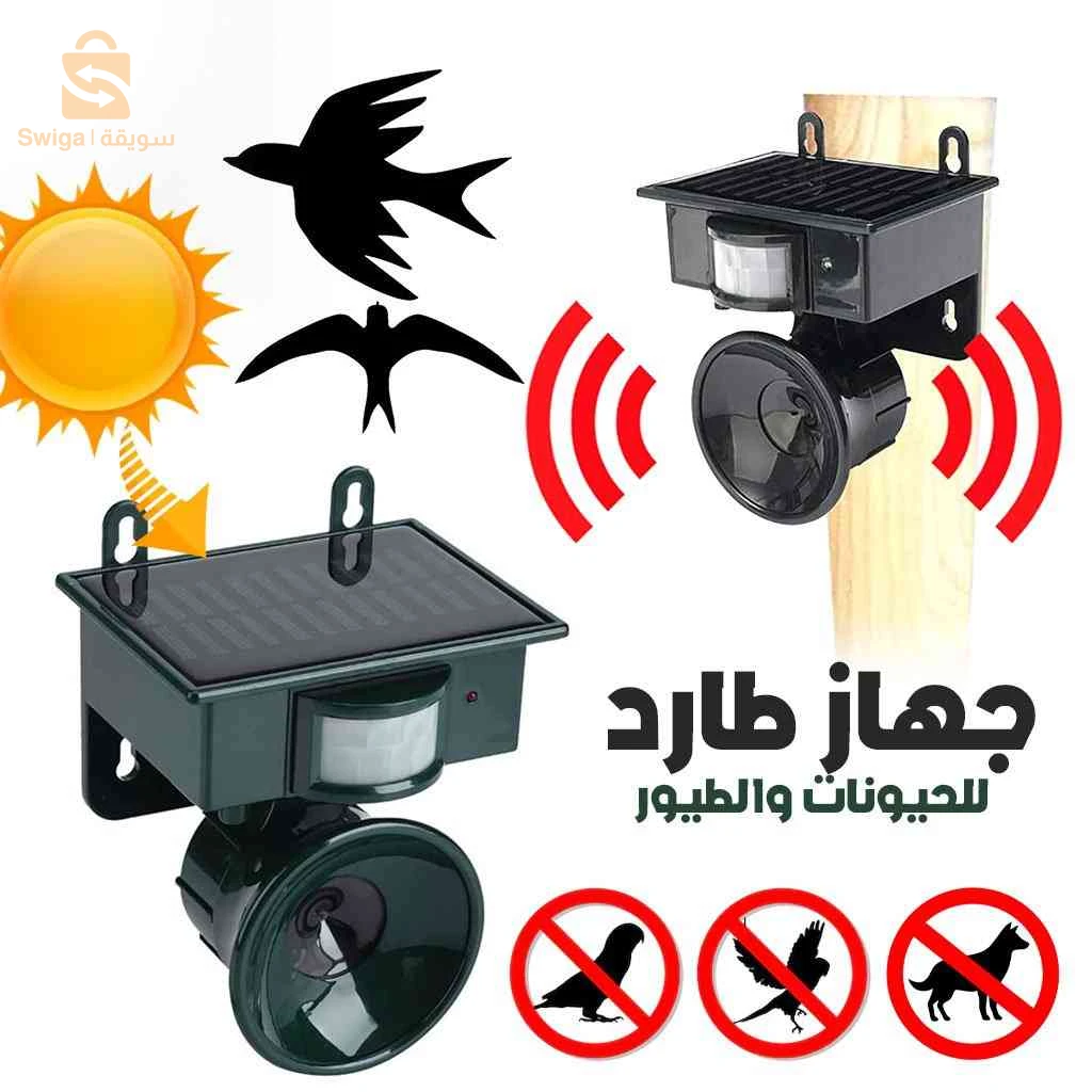 اكسسوارات 