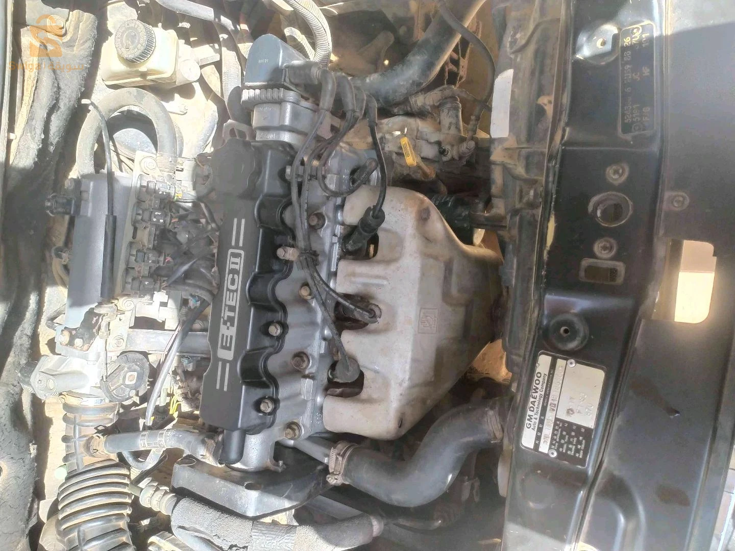 شيفروليه Aveo 2004 20 سعيدة