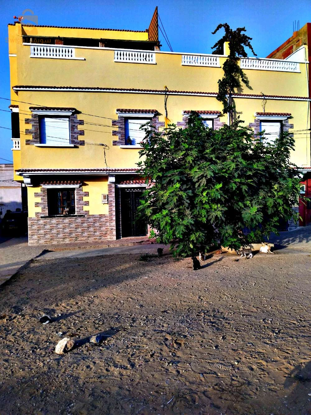 للبيع فلل سكنية عدد الغرف5 27 مستغانم