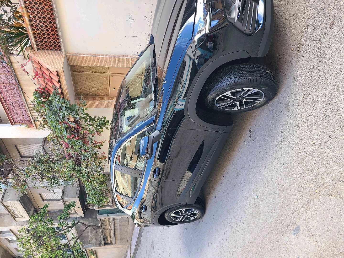 جيتور 2025 19 سطيف